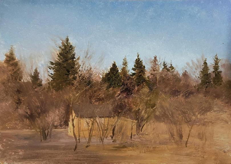 Бесснежная зима. Солнце